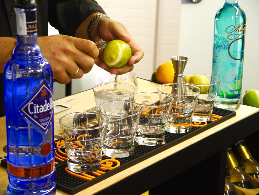 elivelimen fiesta del gin tonic